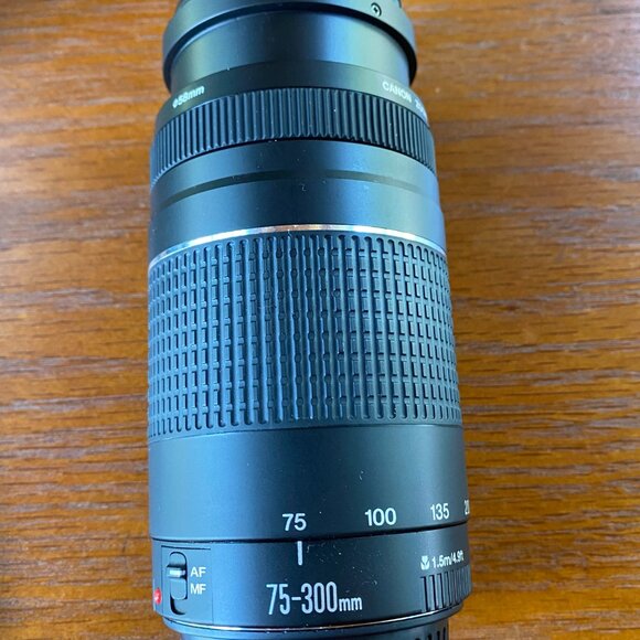 Canon  EOS Rebel T1i camera, Canon EF 75-300mm f/4-5.6 III,  Camera Bag (New) - Picture 2 of 7